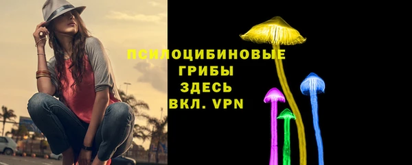 спайс Баксан