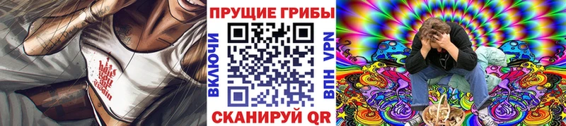Галлюциногенные грибы Psilocybe  как найти закладки  Сураж 
